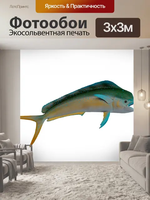 Фотообои Дельфин Рыба