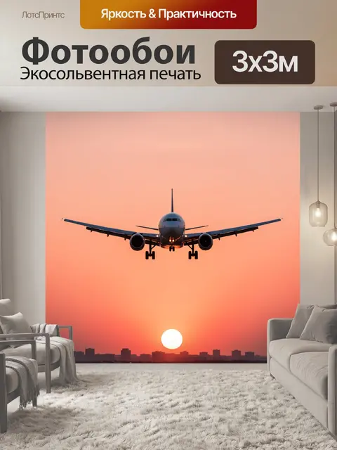Фотообои Самолет на фоне заката
