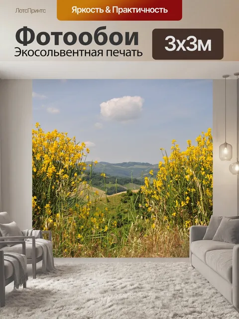 Фотообои Метла