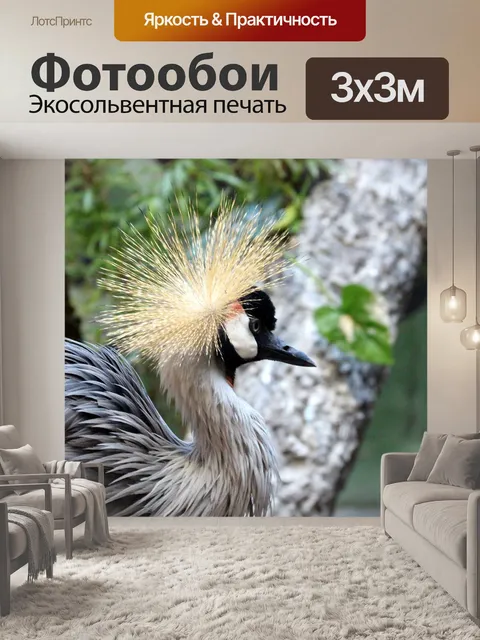Фотообои Журавль