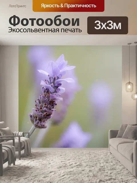 Фотообои Лаванда