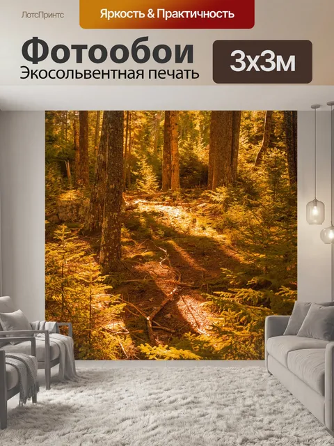 Фотообои Осенний лес на закате