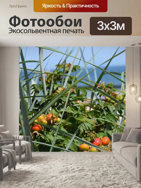 Фотообои Дикая роза