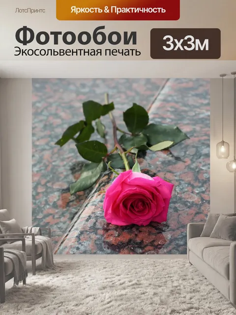 Фотообои Розовая роза