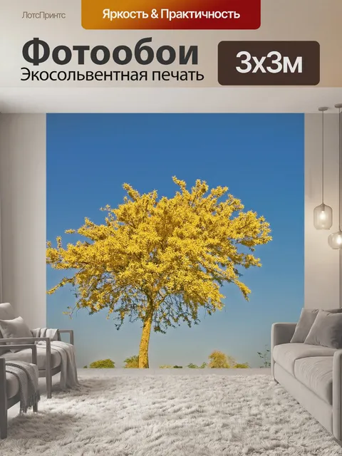 Фотообои Дерево