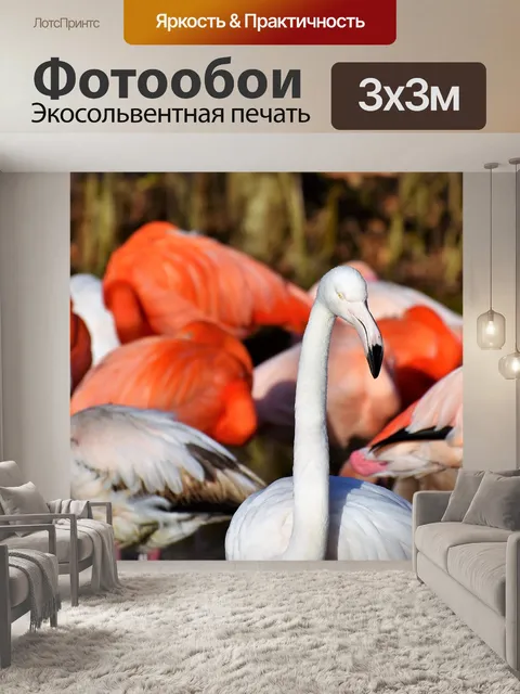 Фотообои Фламинго