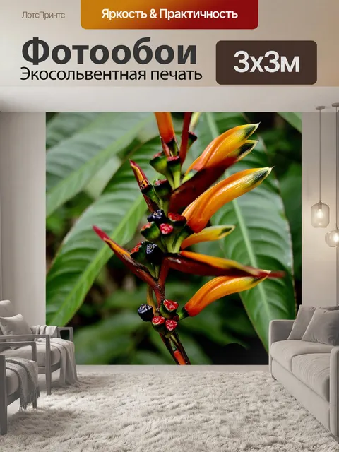 Фотообои Экзотика