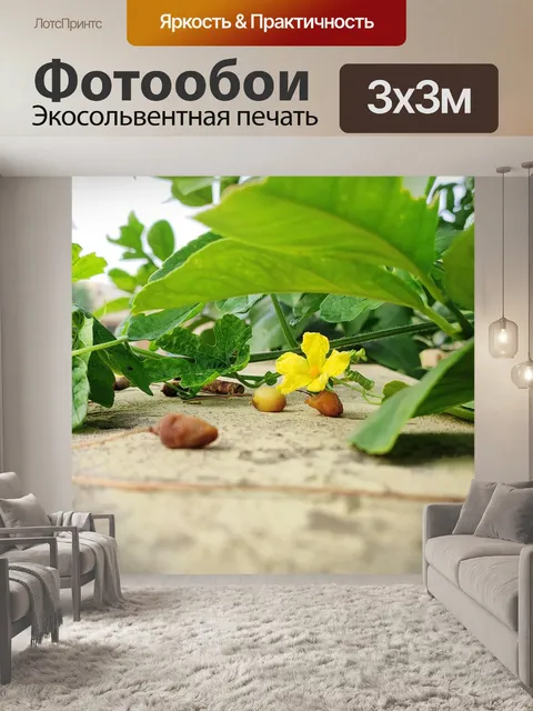 Фотообои Листья