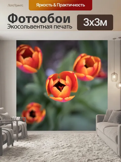 Фотообои Тюльпаны