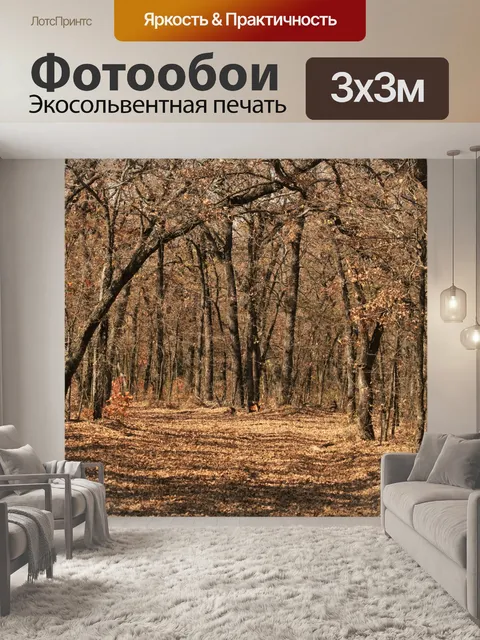Фотообои Осенняя тропа через лес