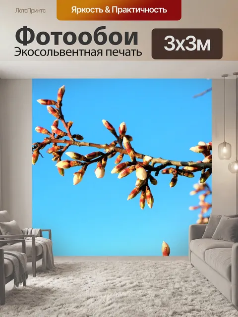 Фотообои Миндаль