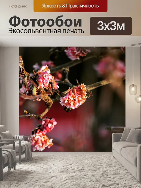 Фотообои Расцветает