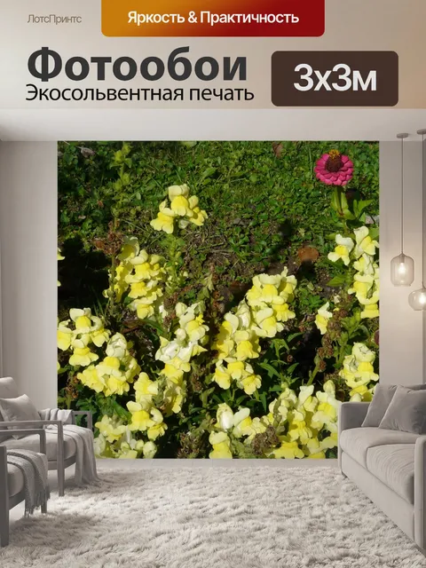 Фотообои Большой львиный зев