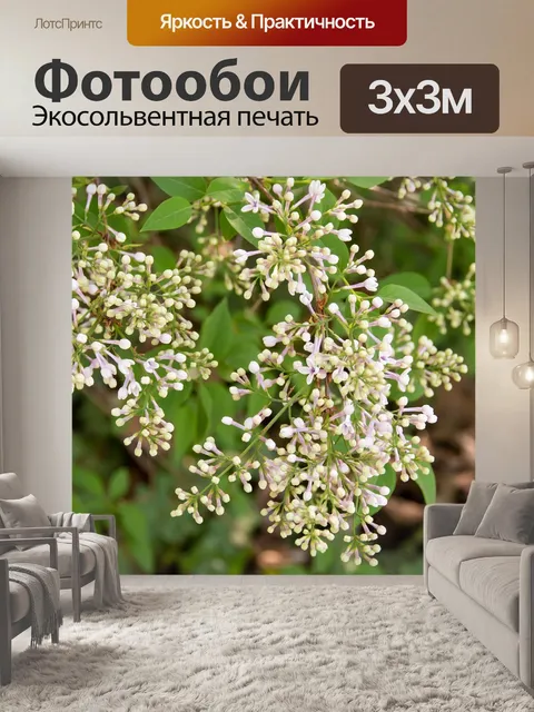 Фотообои Цветы