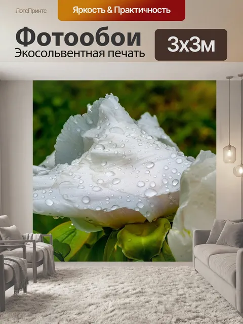 Фотообои Цветы