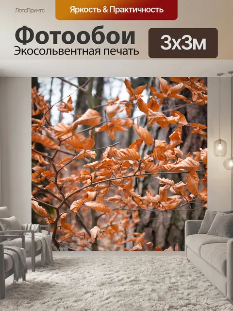 Фотообои Зима