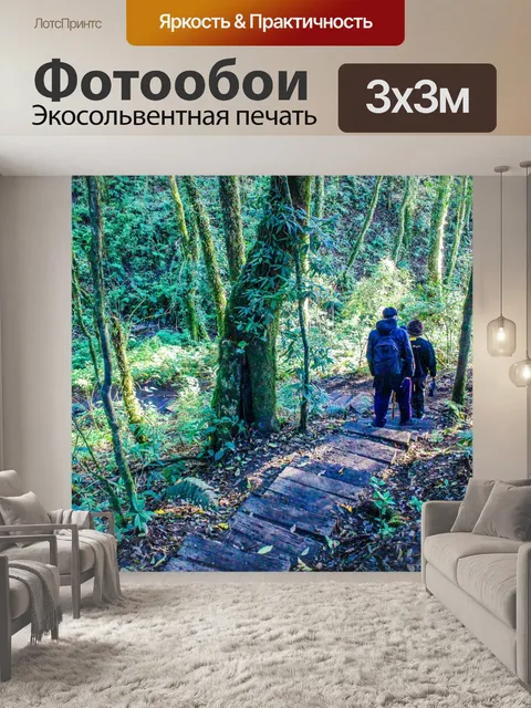 Фотообои Тропический лес в Дои Интанон, Чиангмай