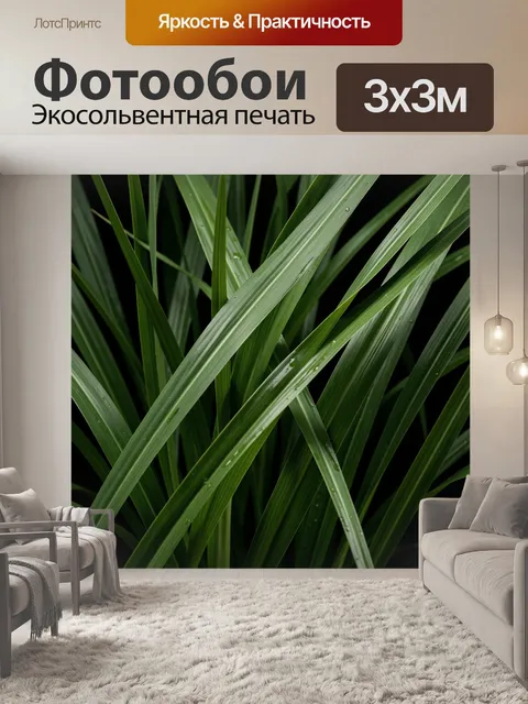 Фотообои Зелёные травяные листья с росой