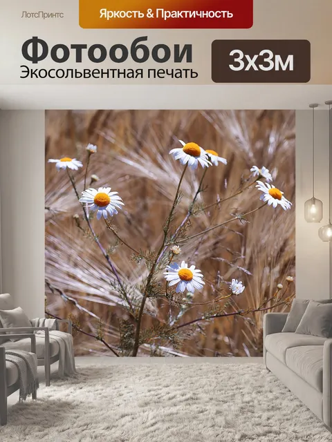 Фотообои Ромашки