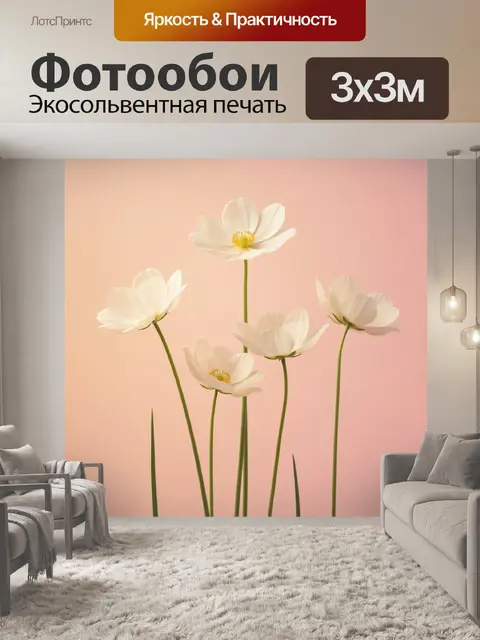 Фотообои Белые космеи на розовом фоне