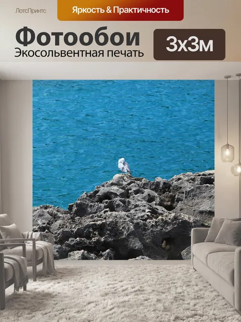 Фотообои Чайка