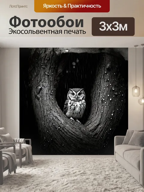 Фотообои птица: сова, уютно устроившаяся в дупле дерева, окружённая таинственной атмосферой дождливого леса