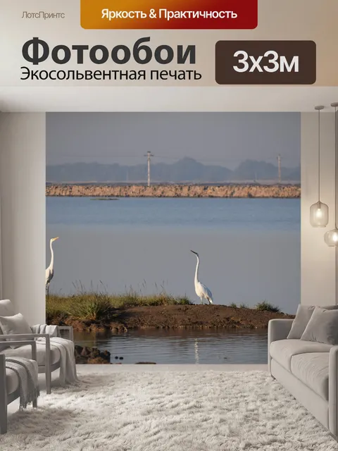Фотообои Птицы