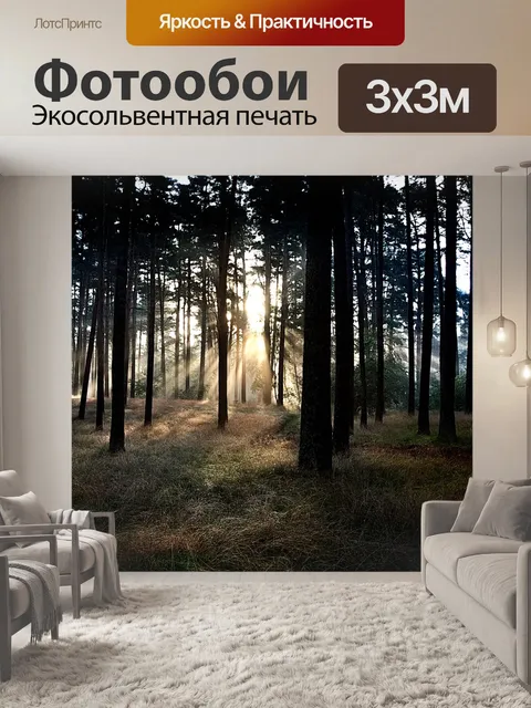 Фотообои Лес