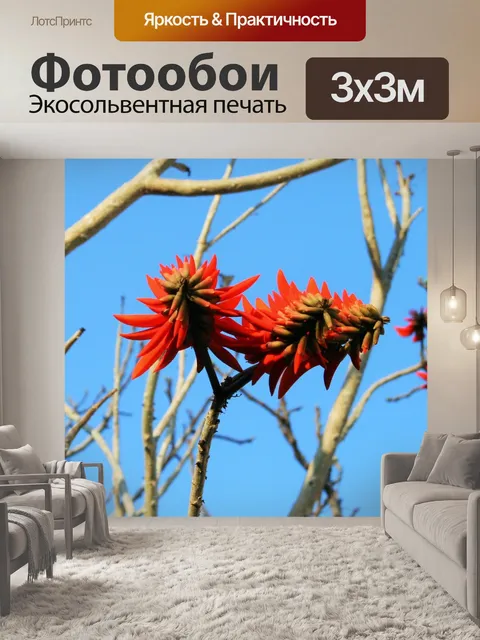 Фотообои коралловые цветы дерева