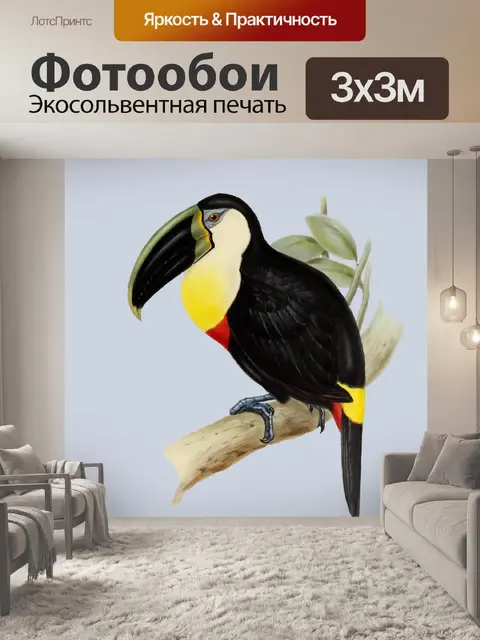 Фотообои Тукан Птица Винтажная Живопись