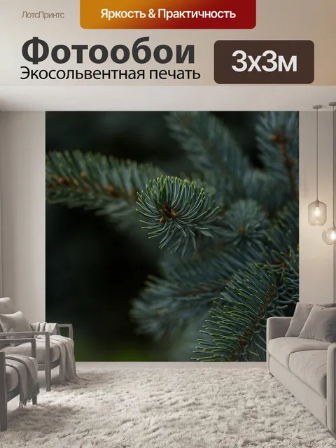 Фотообои Ель