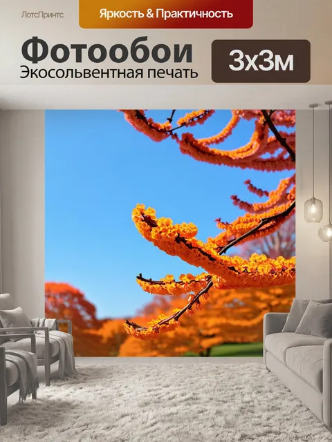 Фотообои оранжевый цвет: цветущая оранжевая сакура в парке при ясном небе