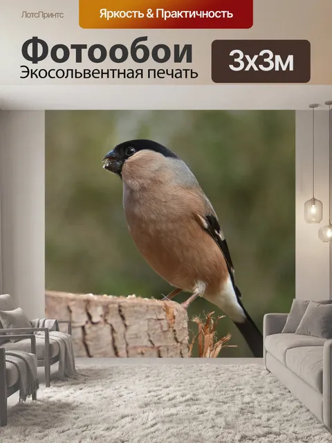 Фотообои Снегирь