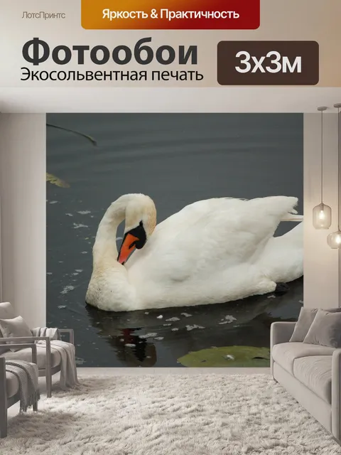 Фотообои Птицы