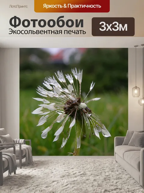 Фотообои Одуванчик