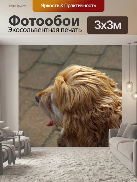 Фотообои Собака