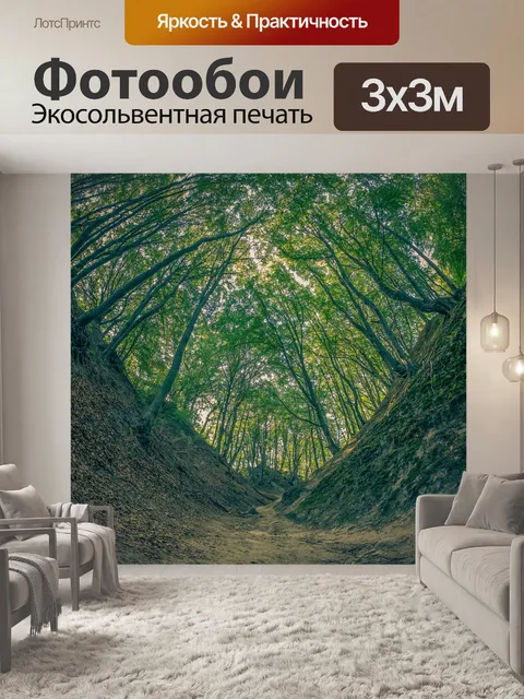Фотообои Ущелье