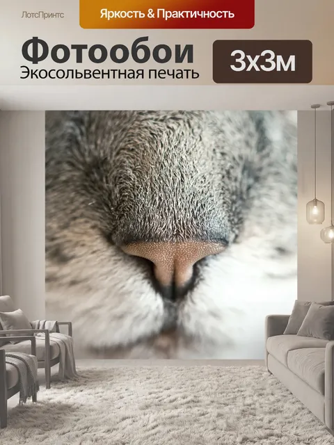 Фотообои Кошка