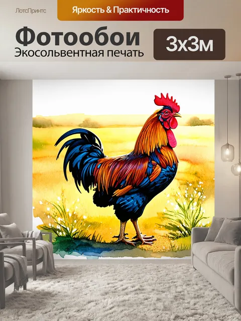 Фотообои изображение петуха, стоящего на утреннем солнце, его перья сверкают от росы