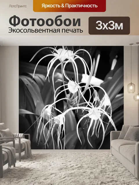 Фотообои Белый Тропический цветочный B &amp; W