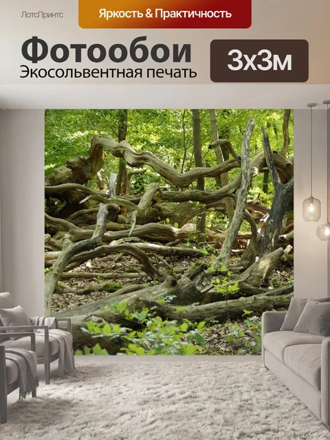 Фотообои Лес