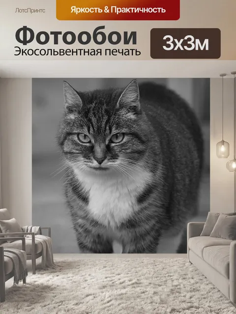 Фотообои Кошка