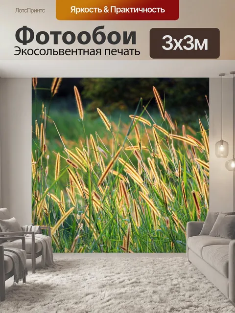 Фотообои семян трав фоне 2