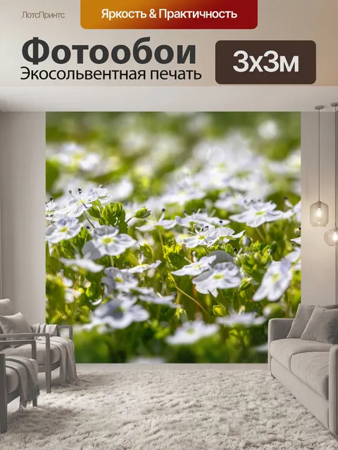 Фотообои Цветы