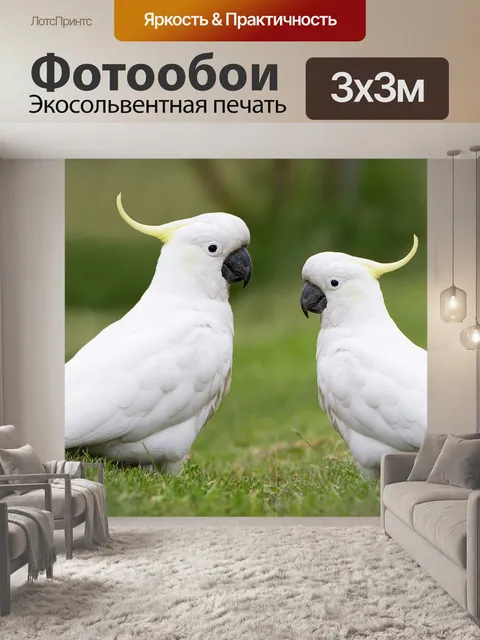 Фотообои Птицы