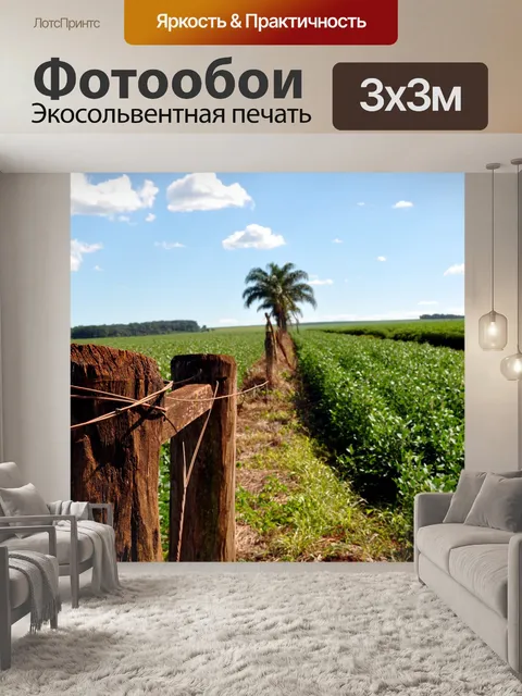 Фотообои О