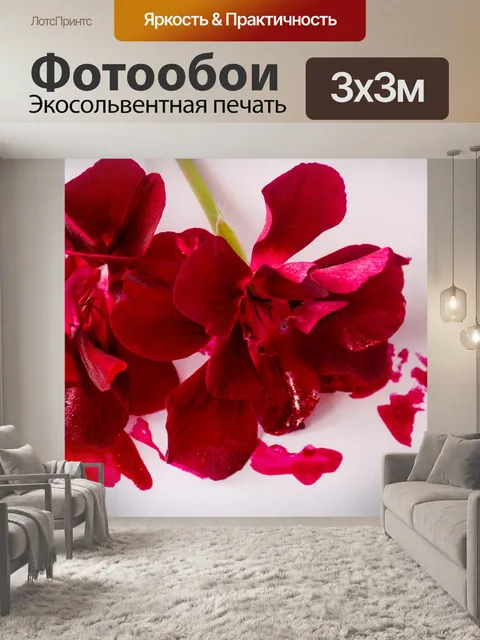 Фотообои Цветы