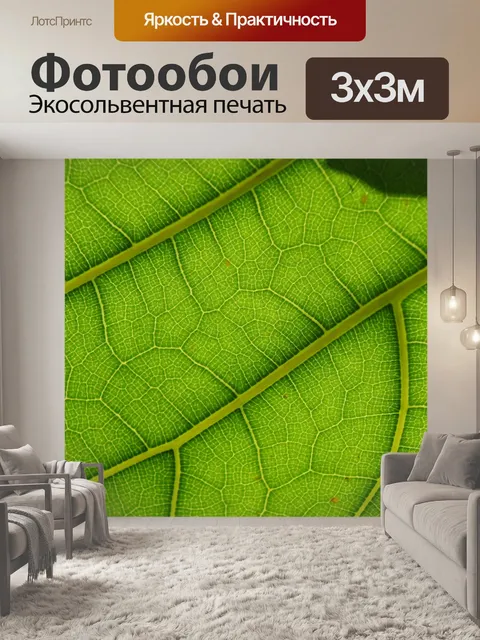 Фотообои Скрипка на фиг