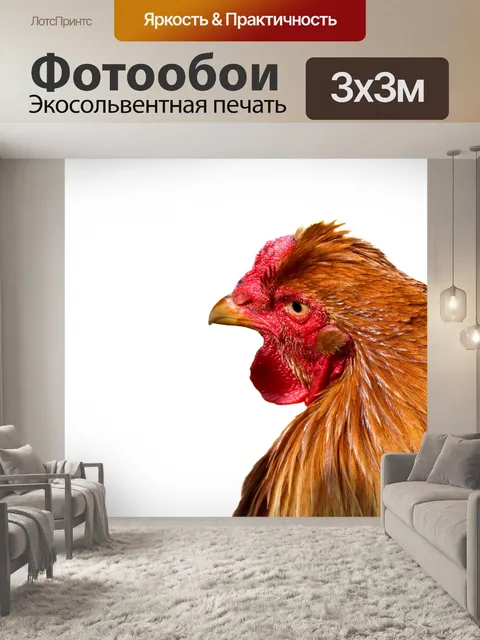 Фотообои Курица
