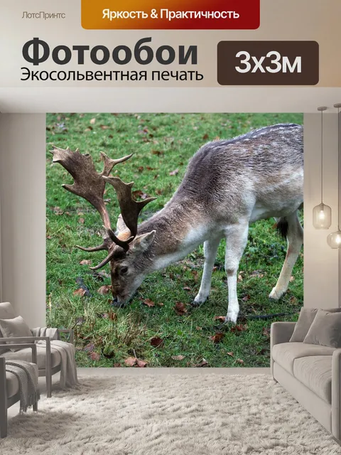 Фотообои Олень